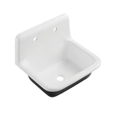 Petra Galley 22-Inch Cast Iron Single Bowl Wall Mount Utility Sink, White
