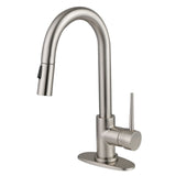 New York One-Handle 1-Hole Deck Mount Bar Faucet with Pull Down Sprayer, Brushed Nickel