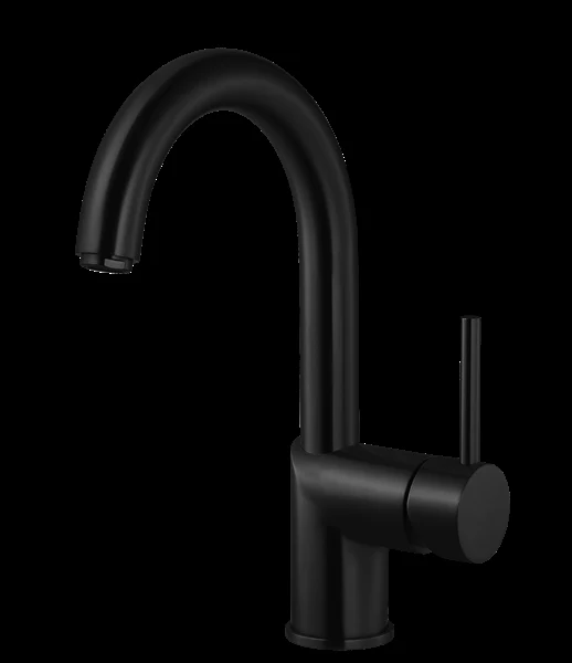 Gal Bar Faucet with High Rotating Spout in Matte Black