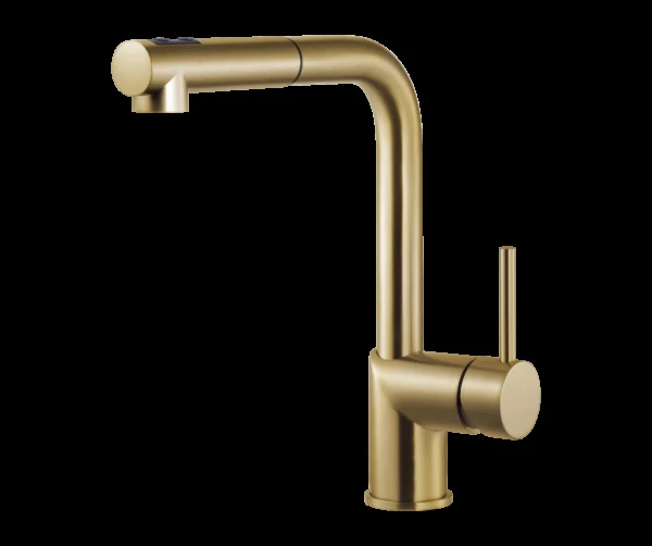 Gal Dual Function Pull Out Kitchen Faucet in Brushed Brass