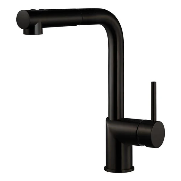 Gal Dual Function Pull Out Kitchen Faucet in Matte Black