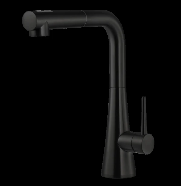 Serenity Dual Function Pull Out Kitchen Faucet in Matte Black