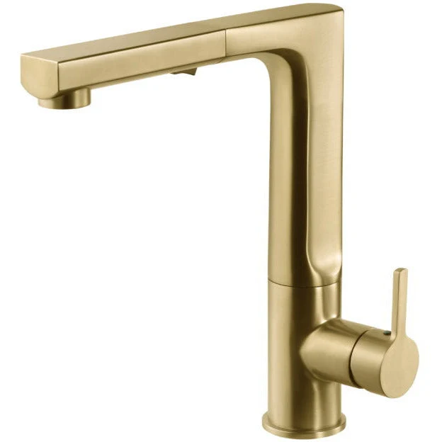 Storm Dual Function Pull Out Kitchen Faucet in Brushed Brass