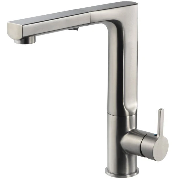 Storm Dual Function Pull Out Kitchen Faucet in Brushed Nickel