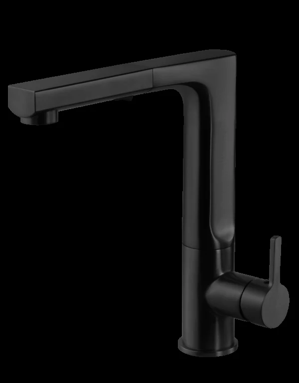 Storm Dual Function Pull Out Kitchen Faucet in Matte Black