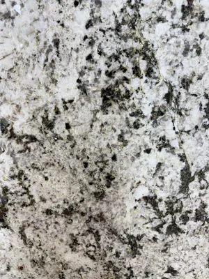 Alaska White 84.inX25.in Real Granite Countertop photo 3