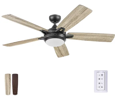 Prominence Home Kailani Bronze 52 Inch Modern Smart Ceiling Fan photo 2