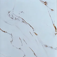 PVC Marble Sheets UV Protected | Waterproof | 4x8 ft (32 sq. ft)